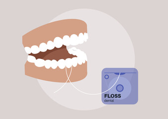 Showing a model of an open mouth with gleaming teeth and dental floss being used, this scene emphasizes the essential routine of maintaining proper jaw hygiene as advised by dentists