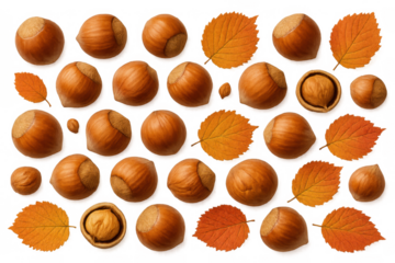 Hazelnuts and autumn leaves collection, scattered filbert nuts and fall foliage, creating a healthy food pattern on transparent background