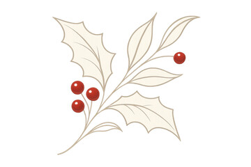 Holly sprig with creamy leaves and red berries for christmas and winter holiday decoration, transparent background
