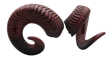 Trilobite fossil isolated on transparent background