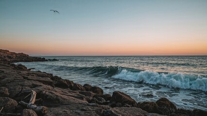 A view of the ocean from the rocky shoreline during sunset with waves and a bird flying overhead.