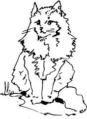 Line Art Outline Fluffy Cat Sitting Pose Sketch