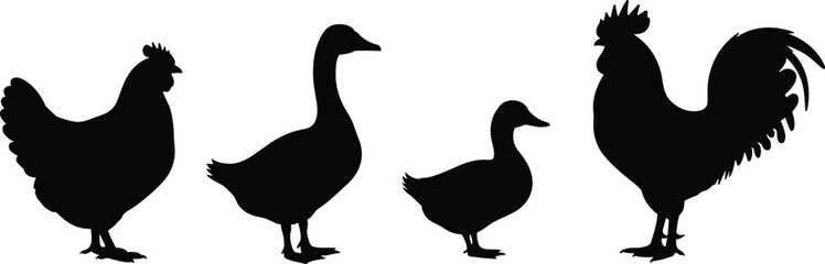 Farm bird silhouettes set, hen goose duck rooster, black vector icons, animal shapes, rural poultry illustration, nature graphic design