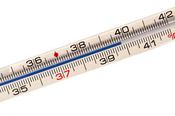 Close up of vintage mercury thermometer showing fever in degrees celsius isolated on white or transparent background, flu or sickness png cut out