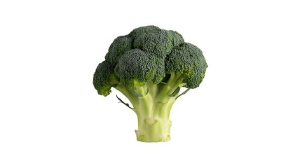 Fresh Broccoli: A vibrant head of broccoli, showcasing its rich green color and detailed texture, ready to be a versatile ingredient in your meals and promoting healthy eating habits.