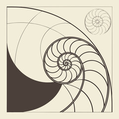 Obraz premium Title Suggestion: Abstract Geometric Circles Vector: Overlapping Black Line Art and Square Frame Structure