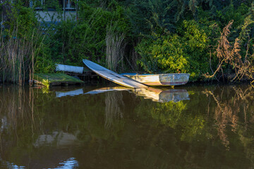 A damaged, sunken boat moored on a reed and shrub-covered bank in Bedum, Netherlands. The dark water reflects the greenery in warm, evening light