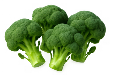 Group of fresh raw green broccoli florets offering healthy, natural, and organic vegetable concepts on a transparent background