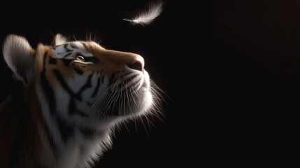 A majestic tiger gazes upwards toward a delicate feather. This powerful image combines wildlife and softness, showcasing the beauty of nature. Perfect for animal lovers. AI