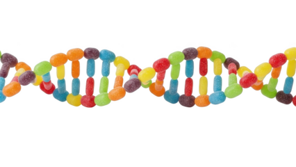 Colorful gummy candy D N A double helix on black background jelly beans