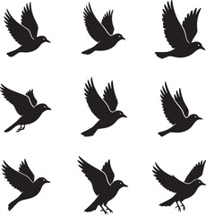 Colorful birds in flight with geometric patterns