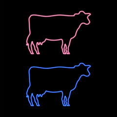 Neon cows in pink and blue on black background