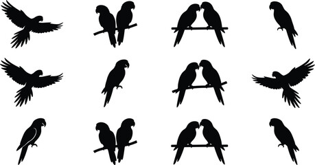 Parrot silhouettes, flying bird, perched parrot, black vector, tropical animal, bird icon, wildlife pose, pet illustration, exotic species, gridParrot silhouettes, flying bird, perched parrot