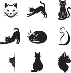 Naklejka premium Domestic cats isolated on white background