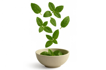 Fresh mint leaves falling into a bowl, herbal ingredient for cooking and beverages on transparent background