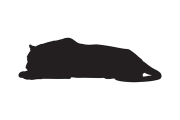Resting Tiger Lying Down Wild Animal Silhouette