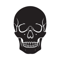 Fototapeta premium Black Human Skull Silhouette with White Details Isolated on White Background