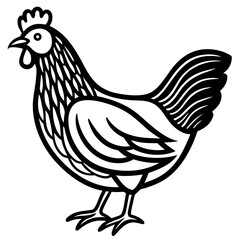 Simple chicken hen outline silhouette illustration farm animal graphic icon vector breed poultry fowl agriculture farmhouse country rooster symbol