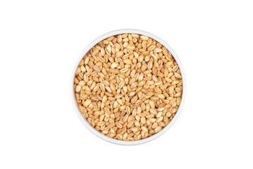 A bowl of wheat grain is shown on a white background