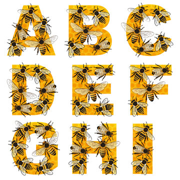 HONEY BEES