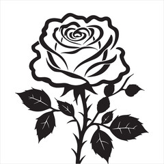 creative rose design using adobe illustrator and vactor..	