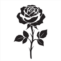 creative rose design using adobe illustrator and vactor..	