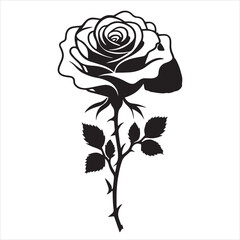 creative rose design using adobe illustrator and vactor..	