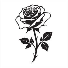 creative rose design using adobe illustrator and vactor..	