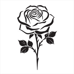 creative rose design using adobe illustrator and vactor..	