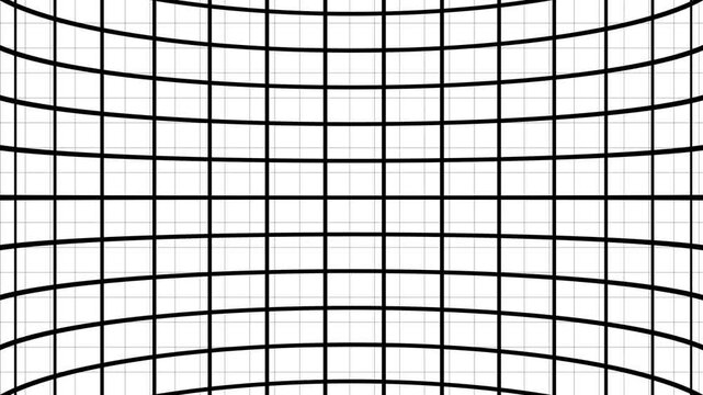 Abstract geometric pattern with thick black curved lines forming a grid over a fine white grid creating a sense of depth and distortion