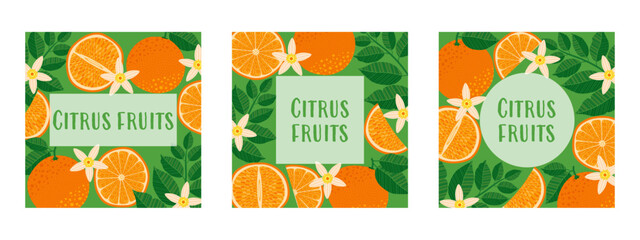 Set of three bright square citrus illustrations featuring oranges, slices, and leaves with copy space. Perfect for cards, invitations, covers, flyers, banners, brochures, and fresh summer designs.