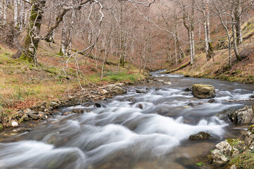 The stream flows joyfully after autumn rains. Mountains of Quinto Real, Navarre