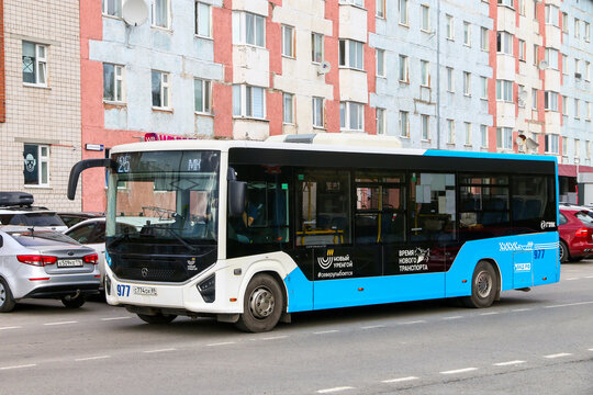 PAZ-422320-04 Citymax 9