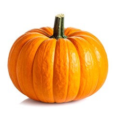Obraz premium Single orange pumpkin on white background