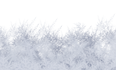 Winter wonderland blizzard background with snow covered fir trees and falling snowflakes on frozen ice texture perfect for christmas new year and holiday designs
