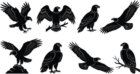 Set of eight eagle silhouettes in flight, perched, and landing poses showcasing majestic bird anatomy, strength, and wildlife illustration.