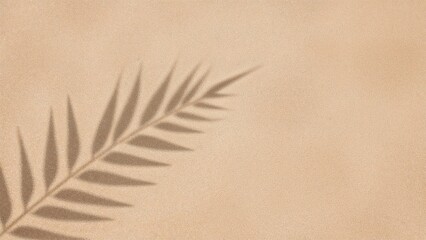 A soft beige background with a shadow of a leaf or plant frond.