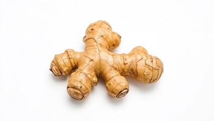 Fresh ginger root with multiple protrusions.