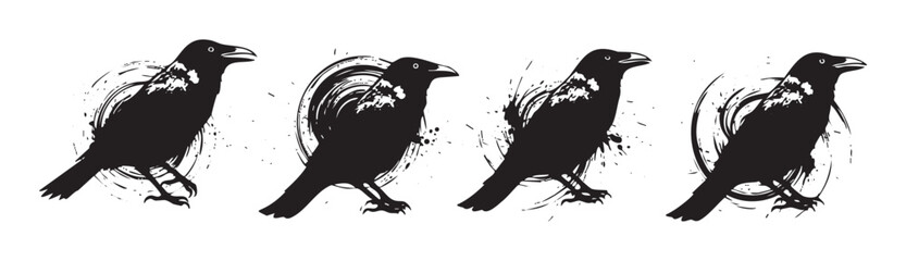 Obraz premium Four black raven bird silhouettes with artistic grunge brush stroke effects create a striking and mysterious graphic illustration perfect for various design projects.
