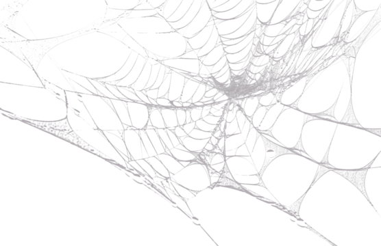 Monochromatic Abstract Web Pattern Grayscale Art. Intricate Network of Lines, Organic Shapes, and Granular Textures for Modern Backgrounds. - Powered by Adobe