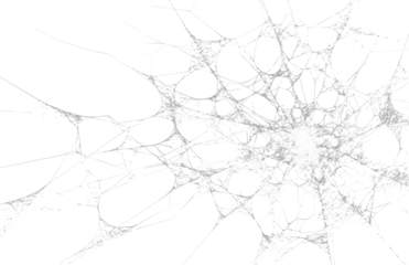 Abstract cracked grey background texture. Intricate shattered glass effect, spiderweb, or fracture pattern. Complex digital art for design.