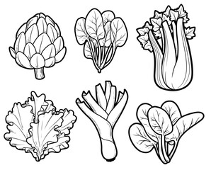 Greens - shallots, lettuce, spinach, celery linear drawing for coloring page on white background