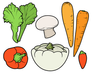 Lettuce leaves, champignon, squash, sweet pepper, hot pepper, carrots linear drawing for coloring page on white background