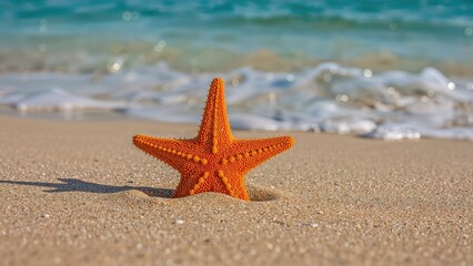 Starfish on the beach with sand and ocean water in the background. Marine life and coastal scenery. The concept of beach and ocean environment.