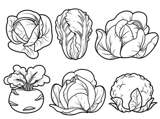 Cabbage - kohlrabi, white cabbage, Chinese cabbage, cauliflower linear drawing for coloring page on white background