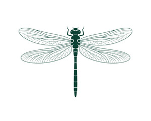 Abstract dragonfly vector illustration with geometric wings, soft gradient colors, minimal modern styling, symmetrical detail, and dynamic shapes ideal for branding, digital artwork, creative projects