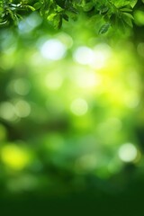 Obraz premium Vibrant green foliage with sunlit bokeh background