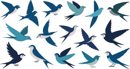 Colorful flying swallow bird illustrations, decorative vector set of swifts in various poses, migration wildlife design