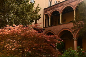 garden of the old town of seville spain