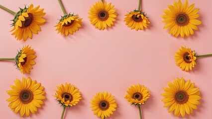 Sunflowers arranged in a semi-circle pattern on pink background.